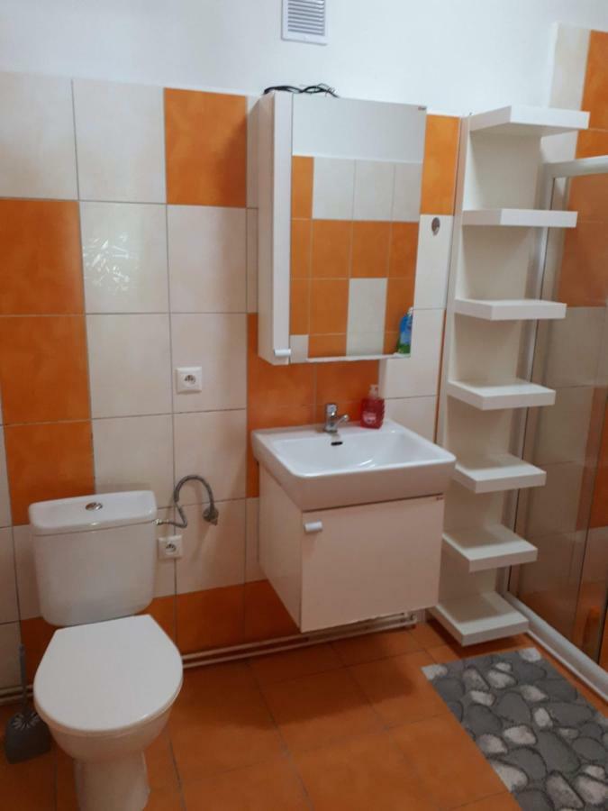 Apartment Gardner Loket Zewnętrze zdjęcie